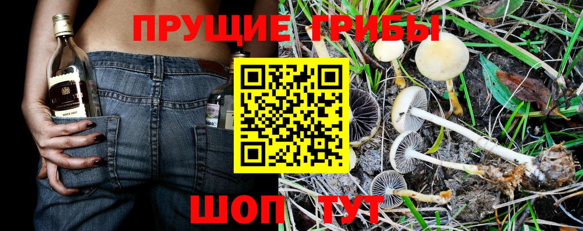 Сочи  сколько стоит  Вход с VPN  Псилоцибиновые грибы мицелий 